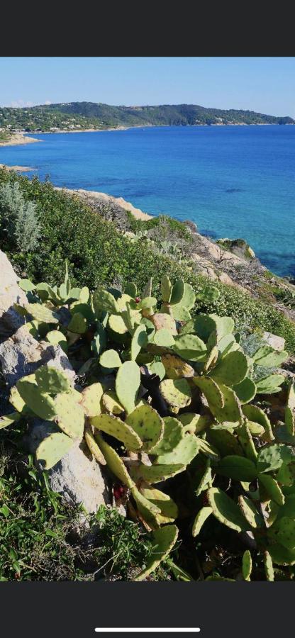 La Dolce Vita Mazet A Gassin Golfe De Saint Tropez 外观 照片